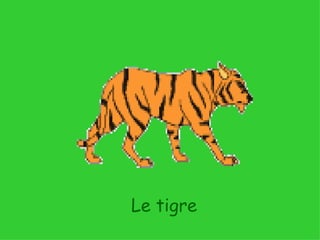Le tigre