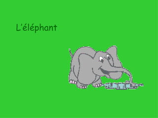 L’éléphant