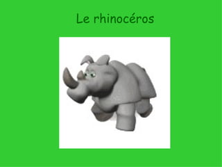 Le rhinocéros