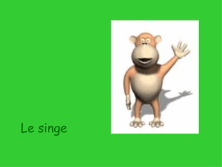 Le singe