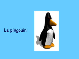 Le pingouin