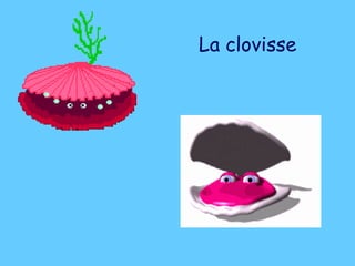 La clovisse