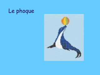 Le phoque