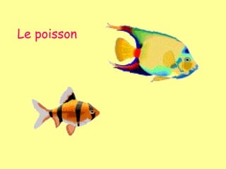 Le poisson