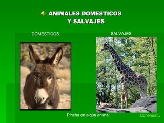 ANIMALES DOMESTICOS  Y SALVAJES DOMESTICOS SALVAJES Pincha en algún animal ANIMALES DOMESTICOS  Y SALVAJES DOMESTICOS SALVAJES Pincha en algún animal Continuar .. 