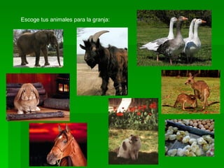 Escoge tus animales para la granja: 
