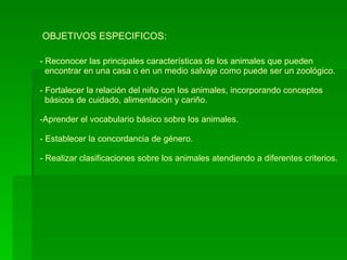 OBJETIVOS ESPECIFICOS: Reconocer las principales características de los animales que pueden encontrar en una casa o en un medio salvaje como puede ser un zoológico. Fortalecer la relación del niño con los animales, incorporando conceptos  básicos de cuidado, alimentación y cariño. Aprender el vocabulario básico sobre los animales. Establecer la concordancia de género. Realizar clasificaciones sobre los animales atendiendo a diferentes criterios. 