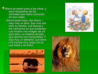 Maria se sentó junto a los niños, y sacó fotografías de los animales que había conocido en sus viajes. - Mirad éstas fotos, dijo Maria – Aquí hay un león, que vive con toda su familia. Las leonas y los cachorros en sus praderas- Les mostró una imagen de un gran león, su melena dorada, que dormía con tranquilidad. Y aquí hay un elefante, que tiene una trompa muy larga con la que bebe y se baña. 