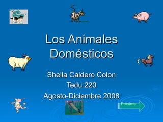 Los Animales
 Domésticos
 Sheila Caldero Colon
       Tedu 220
Agosto-Diciembre 2008
                        Próxima
 