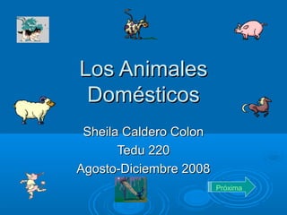 Los AnimalesLos Animales
DomésticosDomésticos
Sheila Caldero ColonSheila Caldero Colon
Tedu 220Tedu 220
Agosto-Diciembre 2008Agosto-Diciembre 2008
Próxima
 