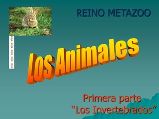 REINO METAZOO
Primera parte
“Los Invertebrados”
 