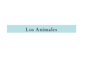 Los Animales 