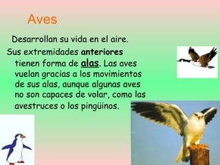 Los Animales3