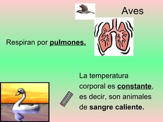 Los Animales3