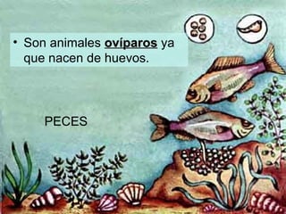 Los Animales3