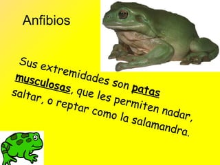 Los Animales3