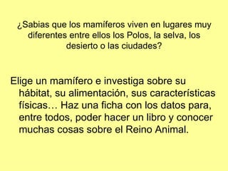 Los Animales3