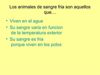 Los Animales3