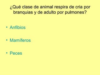 Los Animales3
