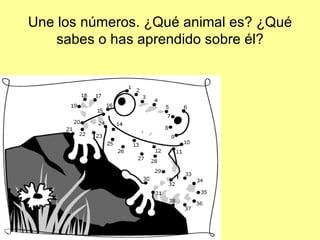 Los Animales3