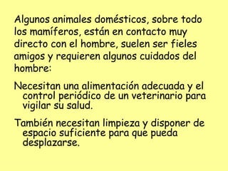 Los Animales3