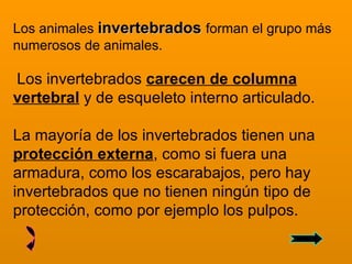 Los Animales3