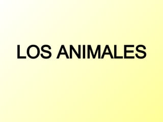 LOS ANIMALES 