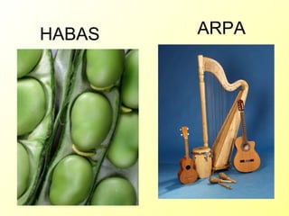 HABAS ARPA 
