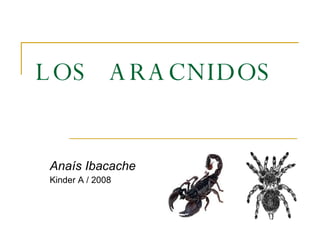 LOS  ARACNIDOS Anaís Ibacache Kinder A / 2008 