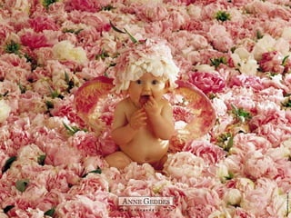 Los Bebes De Anne Geddes Milespowerpoints