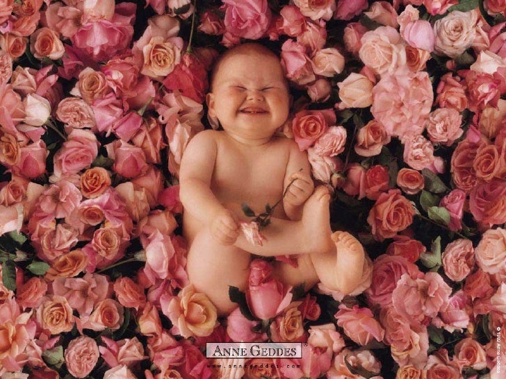 Los Bebes De Anne Geddes Milespowerpoints