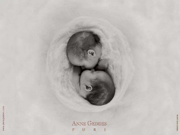 Los Bebes De Anne Geddes Milespowerpoints