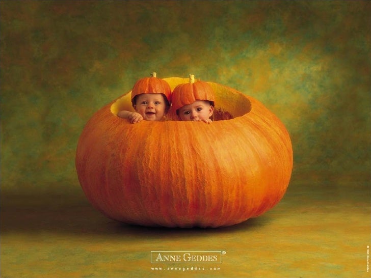 Los Bebes De Anne Geddes Milespowerpoints
