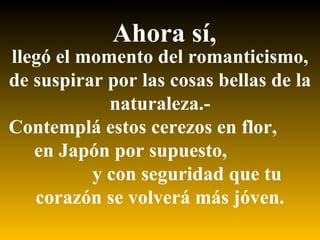 llegó el momento del romanticismo, de suspirar por las cosas bellas de la naturaleza.-  Contemplá estos cerezos en flor,  en Japón por supuesto,  y con seguridad que tu corazón se volverá más jóven. Ahora sí, 