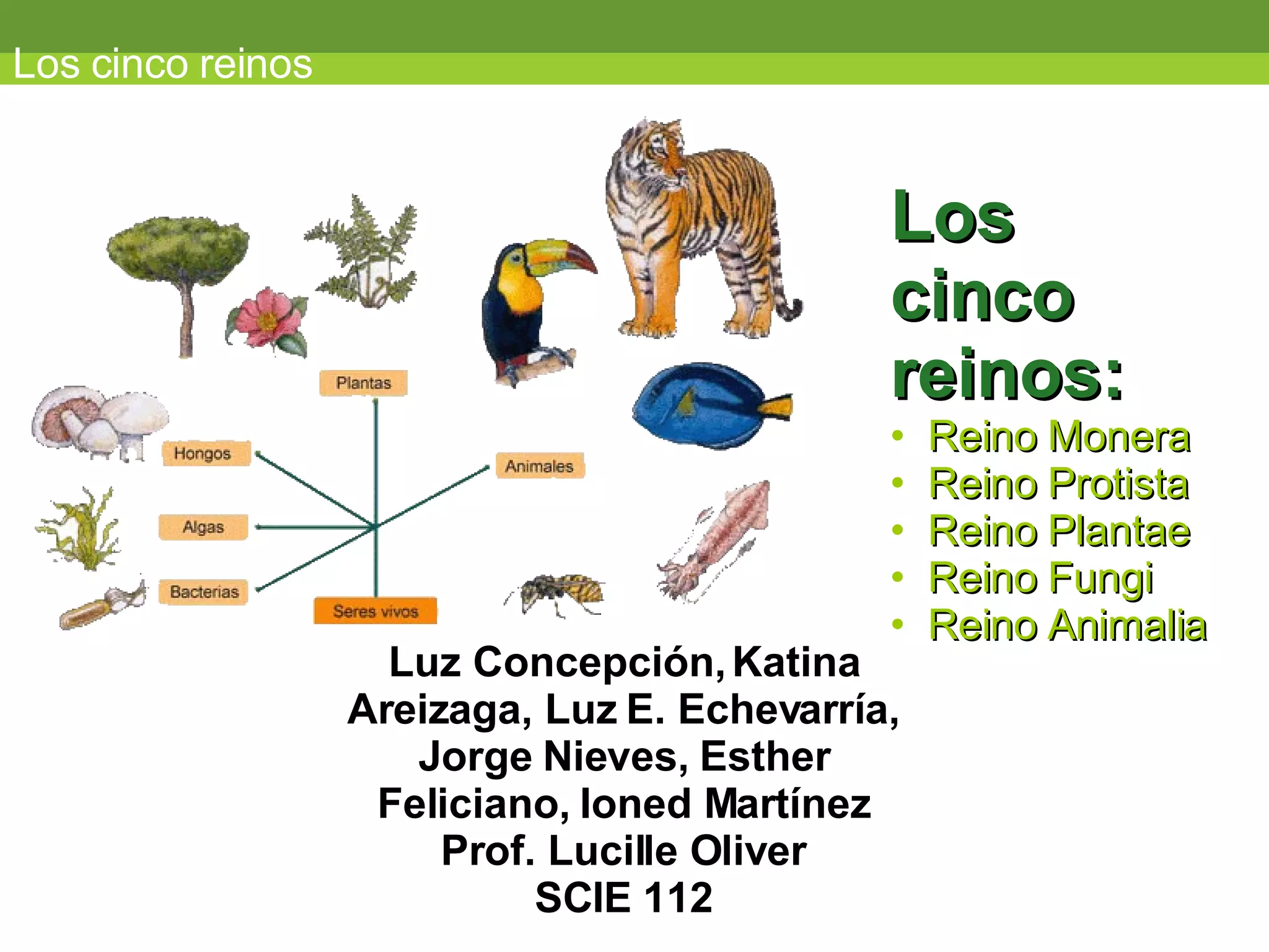 Los cinco reinos Los  cinco  reinos: Reino Monera Reino Protista Reino Plantae Reino Fungi Reino Animalia Luz Concepción, Katina Areizaga, Luz E. Echevarría, Jorge Nieves, Esther Feliciano, Ioned Martínez Prof. Lucille Oliver SCIE 112 