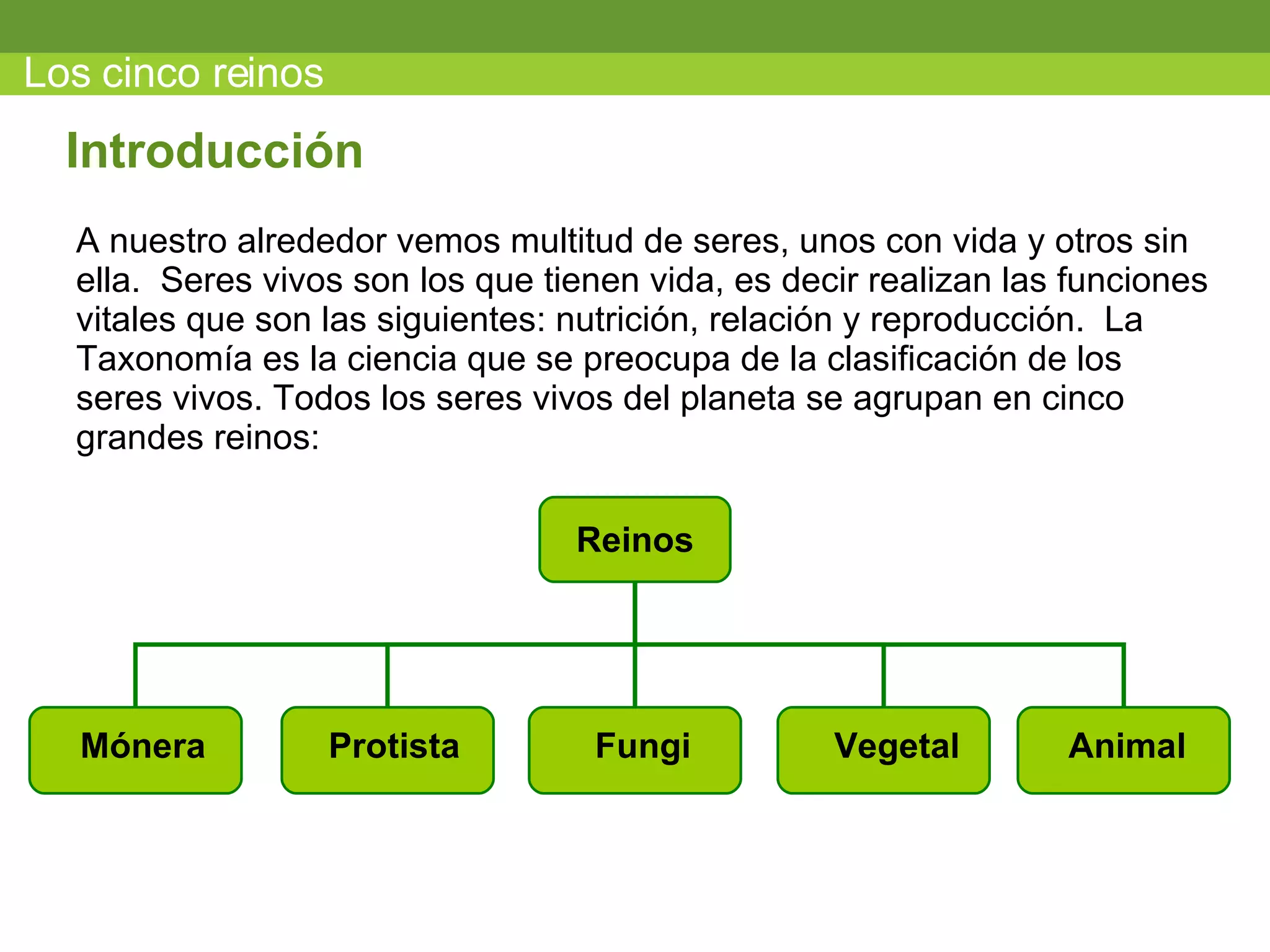 Los cinco reinos A nuestro alrededor vemos multitud de seres, unos con vida y otros sin ella.  Seres vivos son los que tienen vida, es decir realizan las funciones vitales que son las siguientes: nutrición, relación y reproducción.  La Taxonomía es la ciencia que se preocupa de la clasificación de los seres vivos.  Todos los seres vivos del planeta se agrupan en cinco grandes reinos: Introducci ón Reinos M ónera Protista Fungi Vegetal Animal 