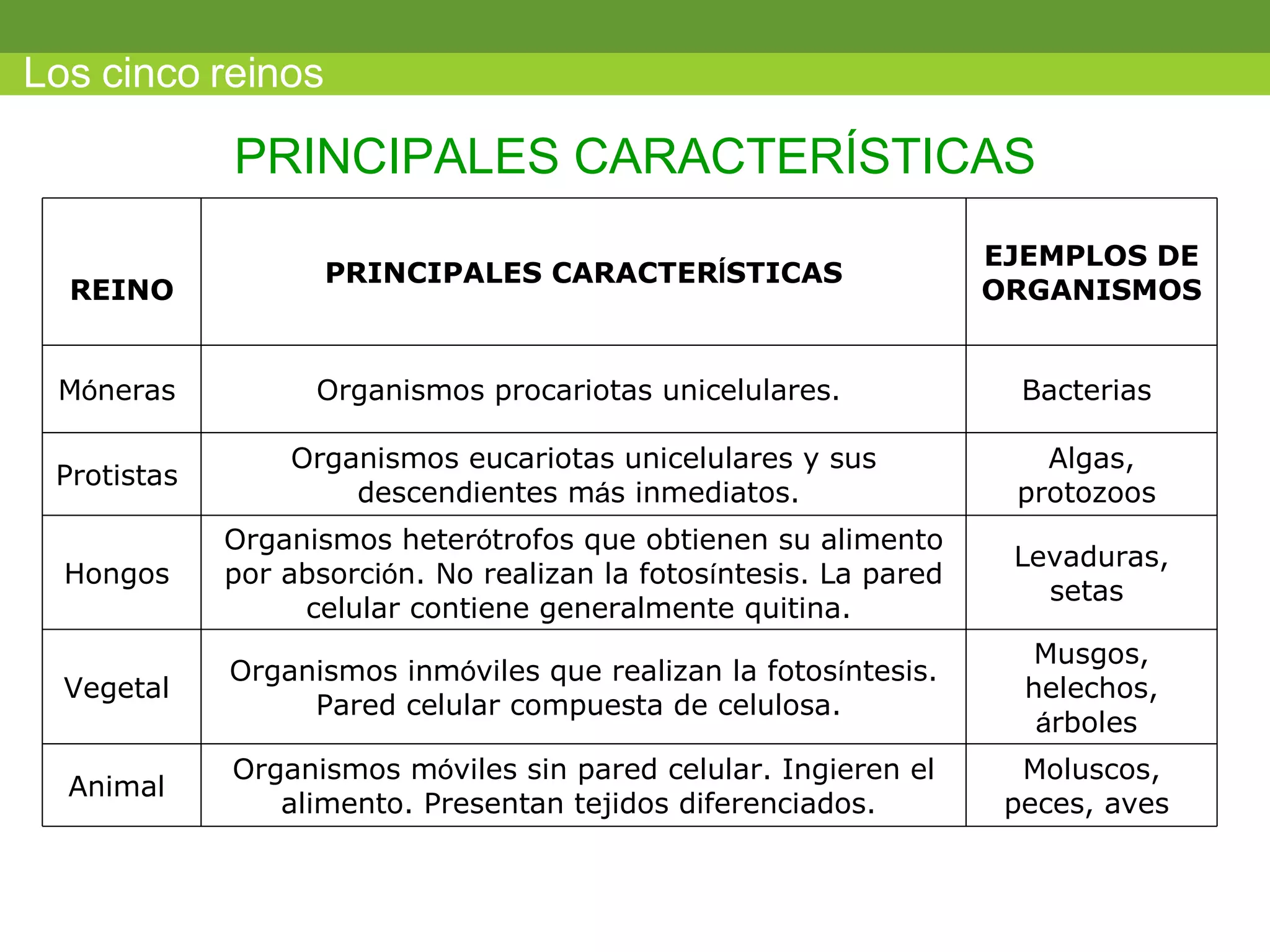 PRINCIPALES CARACTERÍSTICAS Los cinco reinos REINO PRINCIPALES CARACTER Í STICAS EJEMPLOS DE ORGANISMOS M ó neras  Organismos procariotas unicelulares.  Bacterias  Protistas  Organismos eucariotas unicelulares y sus descendientes m á s inmediatos.  Algas, protozoos  Hongos  Organismos heter ó trofos que obtienen su alimento por absorci ó n. No realizan la fotos í ntesis. La pared celular contiene generalmente quitina.  Levaduras, setas  Vegetal  Organismos inm ó viles que realizan la fotos í ntesis. Pared celular compuesta de celulosa.  Musgos, helechos,  á rboles  Animal  Organismos m ó viles sin pared celular. Ingieren el alimento. Presentan tejidos diferenciados.  Moluscos, peces, aves  