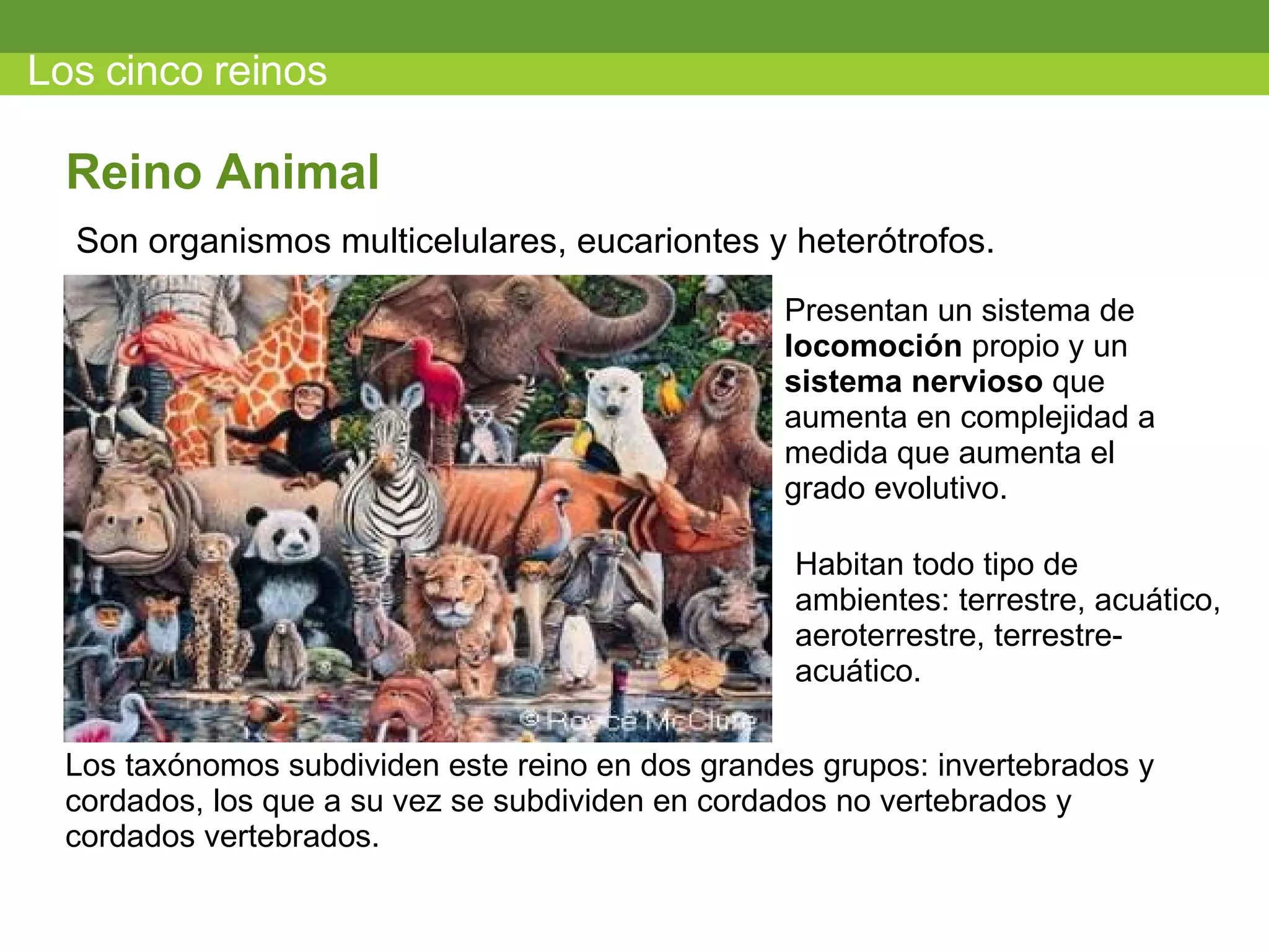 Los cinco reinos Son organismos multicelulares, eucariontes y heter ótrofos. Reino Animal Presentan un sistema de  locomoción  propio y un  sistema nervioso  que aumenta en complejidad a medida que aumenta el grado evolutivo. Habitan todo tipo de ambientes: terrestre, acuático, aeroterrestre, terrestre- acuático. Los taxónomos subdividen este reino en dos grandes grupos: invertebrados y cordados, los que a su vez se subdividen en cordados no vertebrados y cordados vertebrados. 