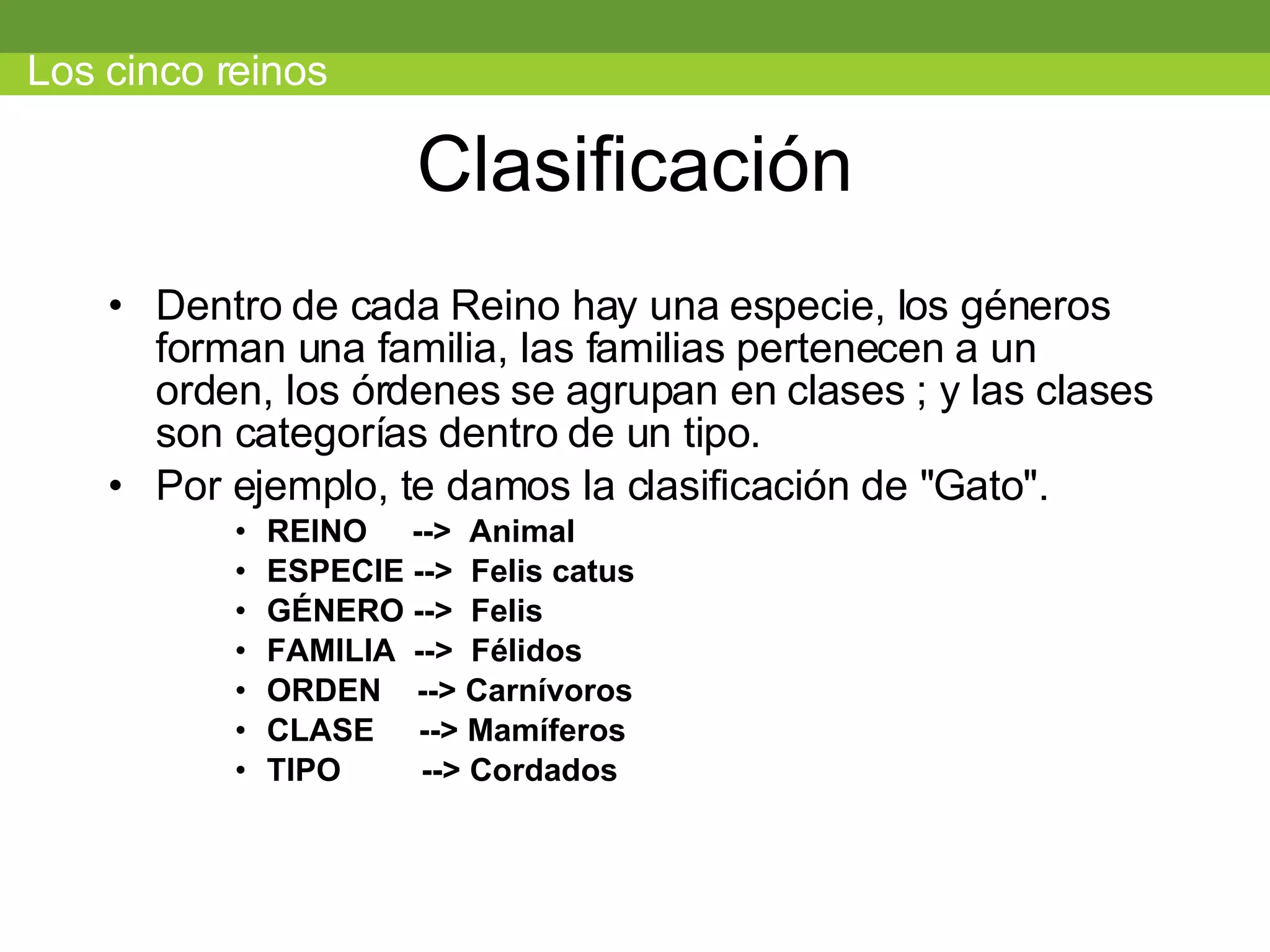 Clasificación Dentro de cada Reino hay una especie, los géneros forman una familia, las familias pertenecen a un orden, los órdenes se agrupan en clases ; y las clases son categorías dentro de un tipo.  Por ejemplo, te damos la clasificación de &quot;Gato&quot;.  REINO  -->  Animal  ESPECIE -->  Felis catus GÉNERO -->  Felis FAMILIA  -->  Félidos  ORDEN  --> Carnívoros  CLASE  --> Mamíferos  TIPO  --> Cordados  Los cinco reinos 