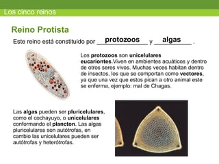 Los cinco reinos Este reino está constituido por _______________ y ___________ .  Reino Protista protozoos Los  protozoos  son  unicelulares eucariontes .Viven en ambientes acuáticos y dentro de otros seres vivos. Muchas veces habitan dentro de insectos, los que se comportan como  vectores , ya que una vez que estos pican a otro animal este se enferma, ejemplo: mal de Chagas. Las  algas  pueden ser  pluricelulares , como el cochayuyo, o  unicelulares  conformando el  plancton . Las algas pluricelulares son autótrofas, en cambio las unicelulares pueden ser autótrofas y heterótrofas. algas 