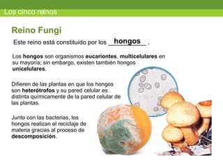 Los cinco reinos Este reino está constituido por los ___________ . Reino Fungi hongos Los  hongos  son organismos  eucariontes ,  multicelulares  en su mayoría; sin embargo, existen también hongos  unicelulares . Difieren de las plantas en que los hongos son  heterótrofos  y su pared celular es distinta químicamente de la pared celular de las plantas. Junto con las bacterias, los hongos realizan el reciclaje de materia gracias al proceso de  descomposición . 