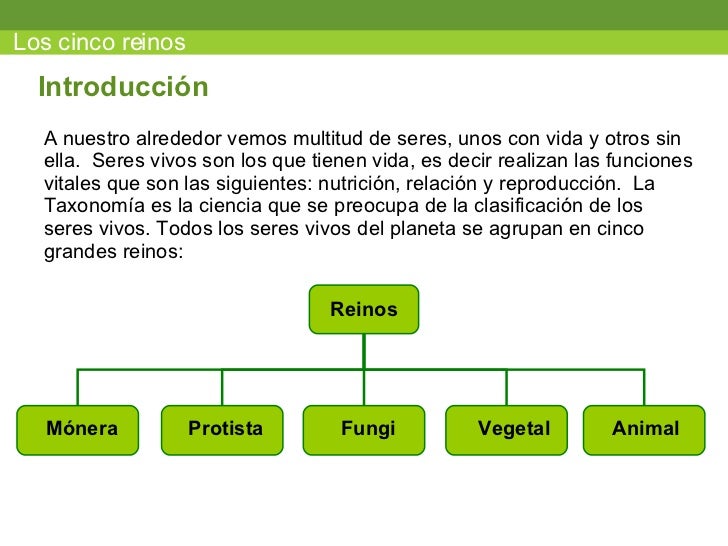 Los Cinco Reinos