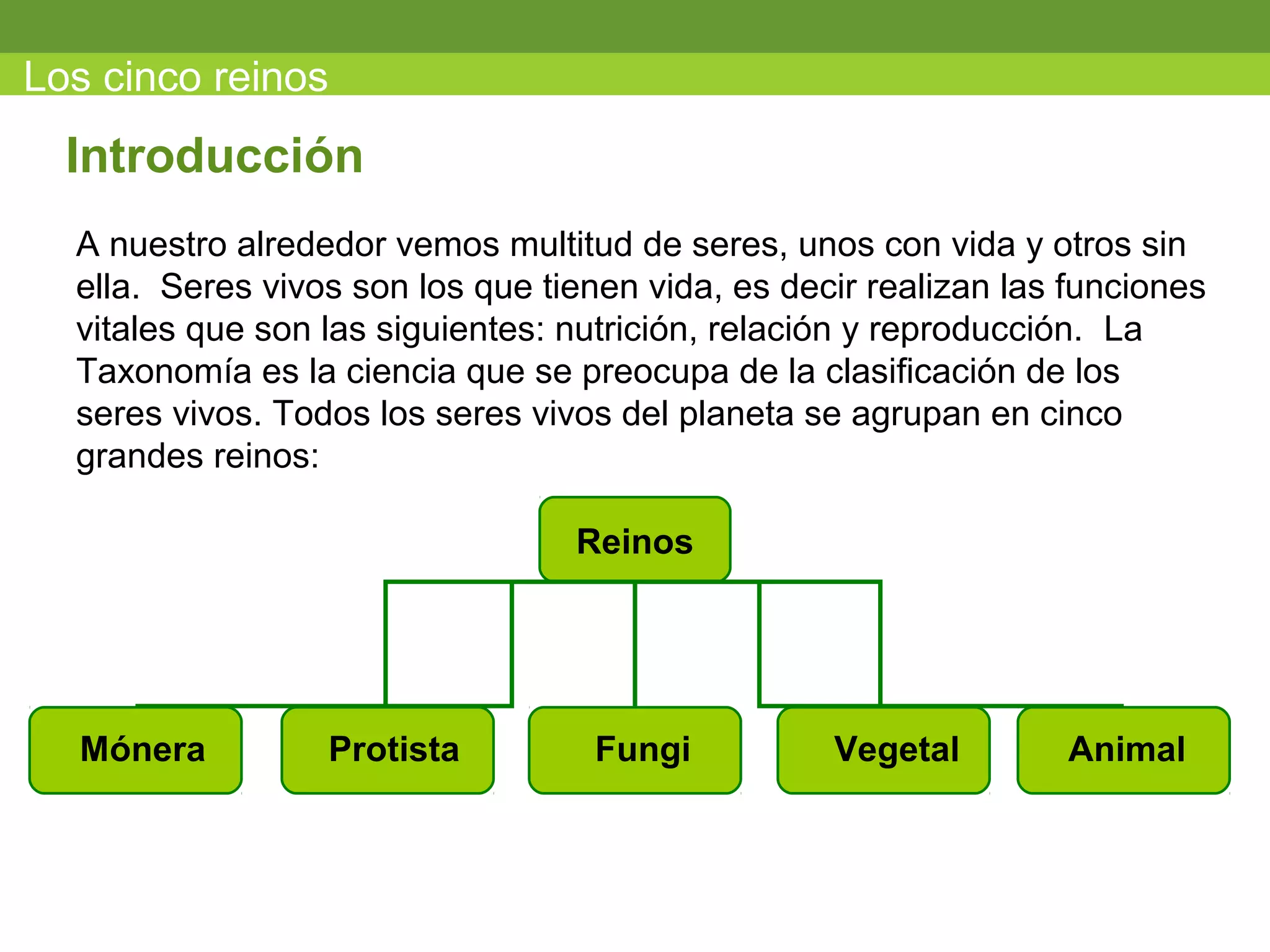 Los cinco reinos | PPT
