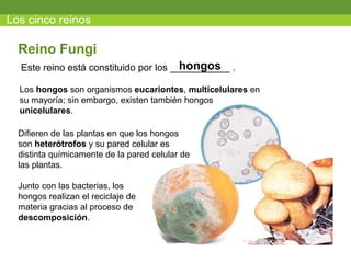 Los cinco reinos

  Reino Fungi
                                        hongos
  Este reino está constituido por los ___________ .

  Los hongos son organismos eucariontes, multicelulares en
  su mayoría; sin embargo, existen también hongos
  unicelulares.

  Difieren de las plantas en que los hongos
  son heterótrofos y su pared celular es
  distinta químicamente de la pared celular de
  las plantas.

  Junto con las bacterias, los
  hongos realizan el reciclaje de
  materia gracias al proceso de
  descomposición.
 