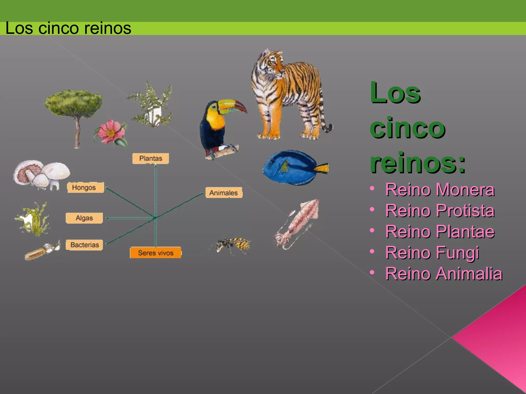 Los cinco reinos | PPT