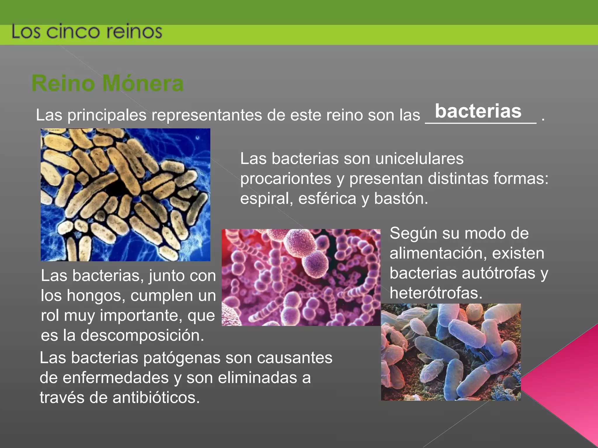 Los cinco reinos | PPT