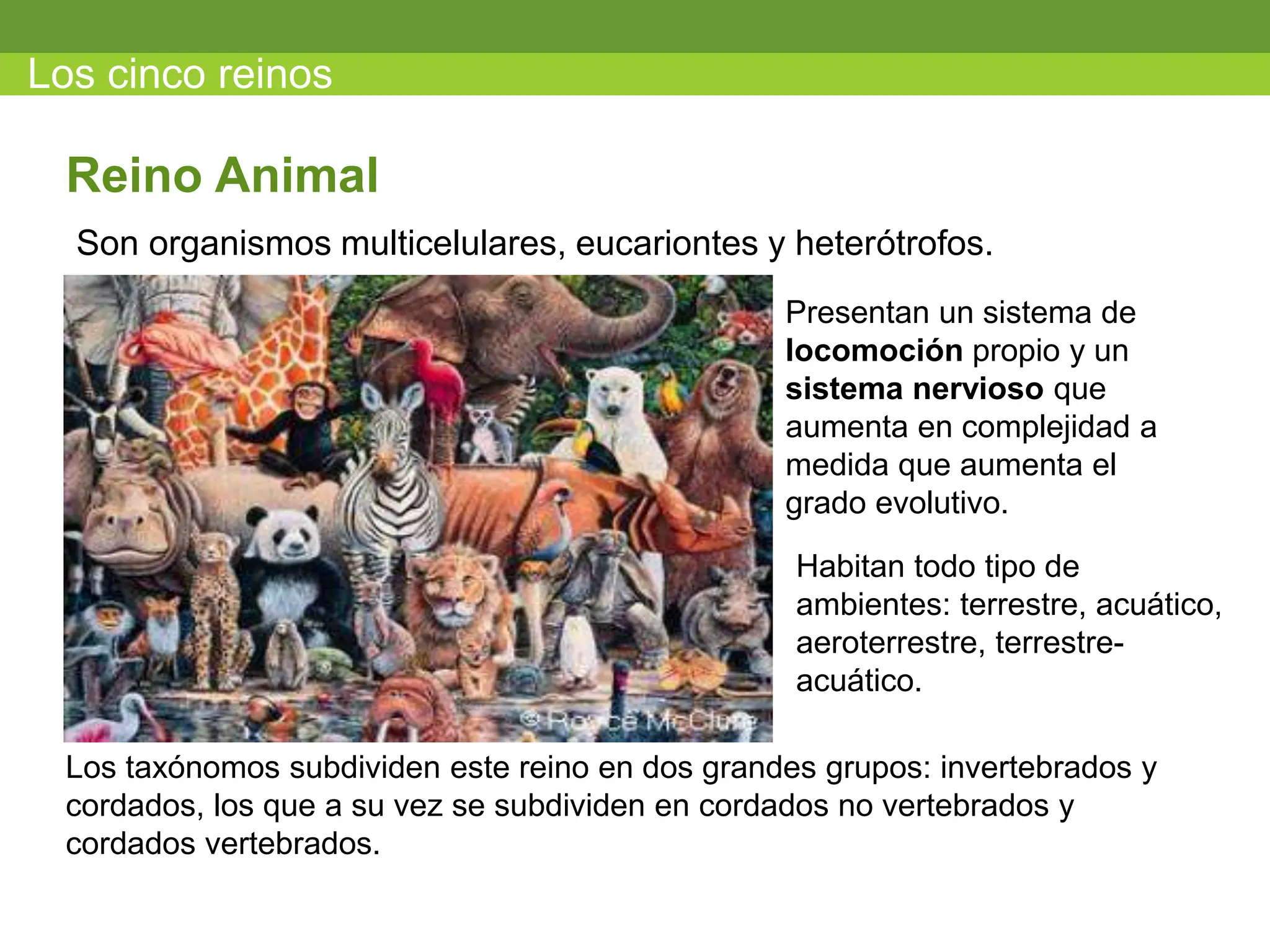 los cinco reinos biologicos 0 de los seres vivos | PPT