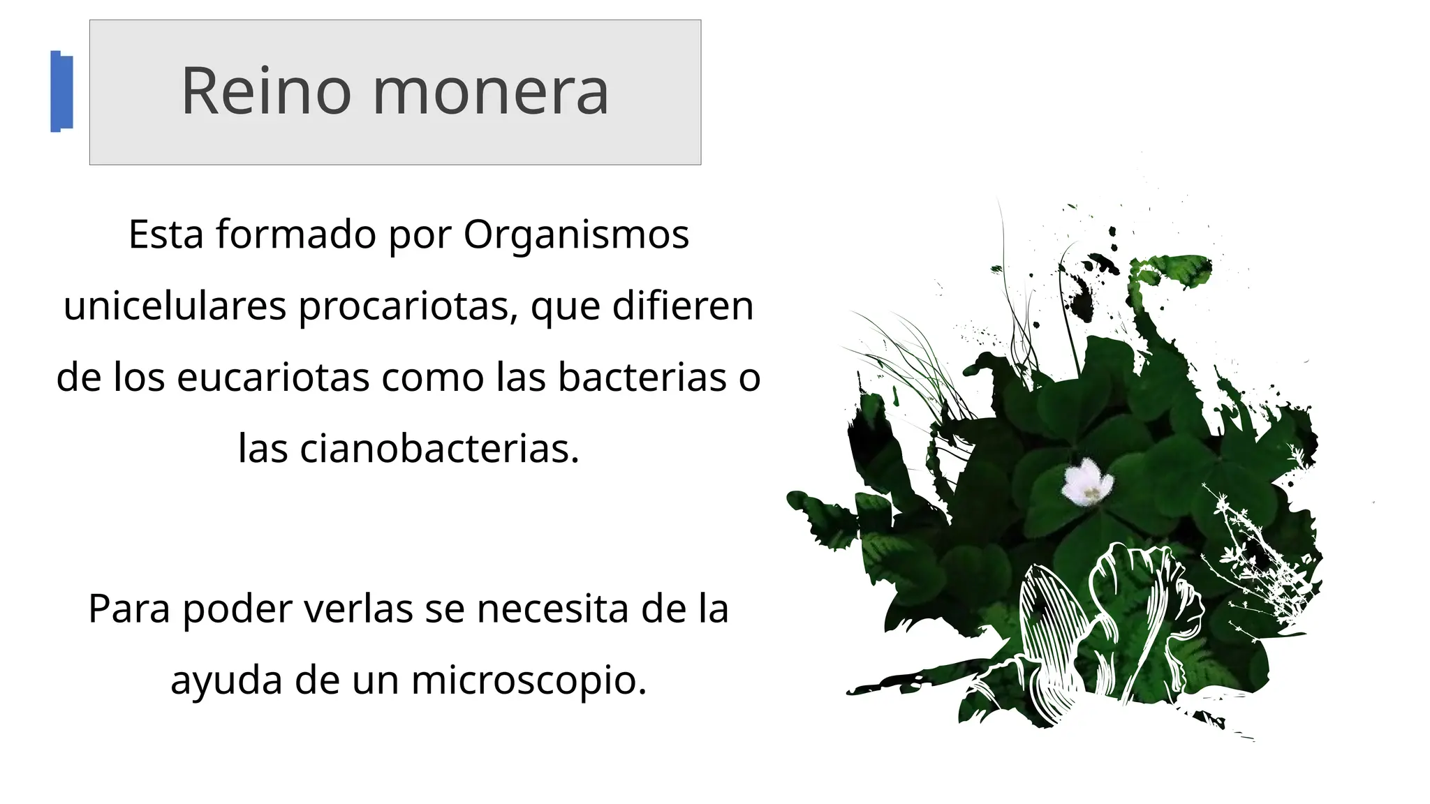 LOS-CINCO-REINOS-DE-LA-NATURALEZA-EXPO-.pptx