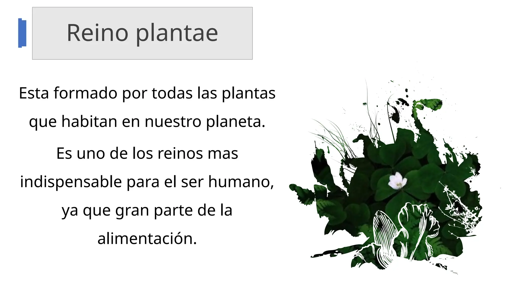 LOS-CINCO-REINOS-DE-LA-NATURALEZA-EXPO-.pptx