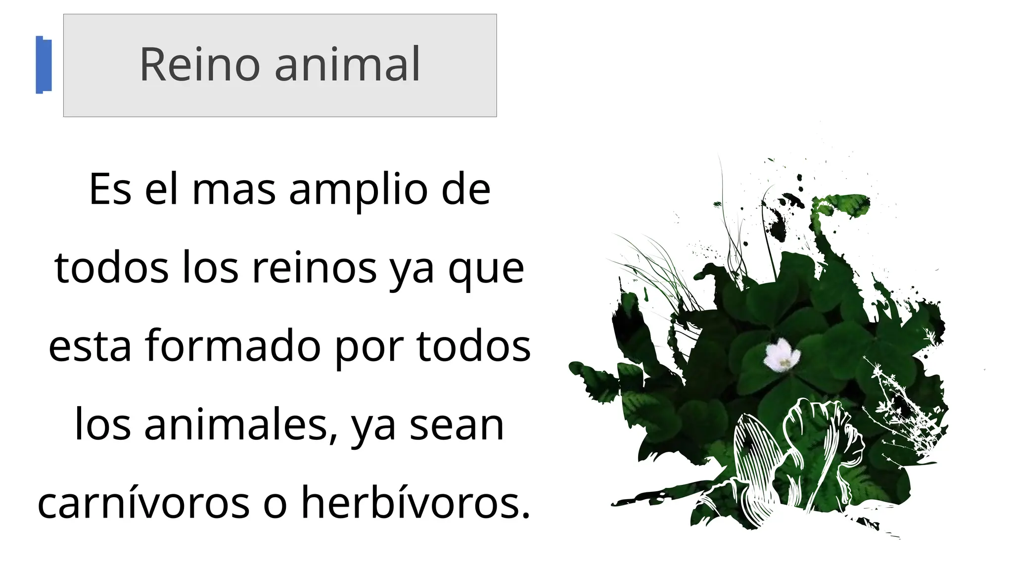 LOS-CINCO-REINOS-DE-LA-NATURALEZA-EXPO-.pptx